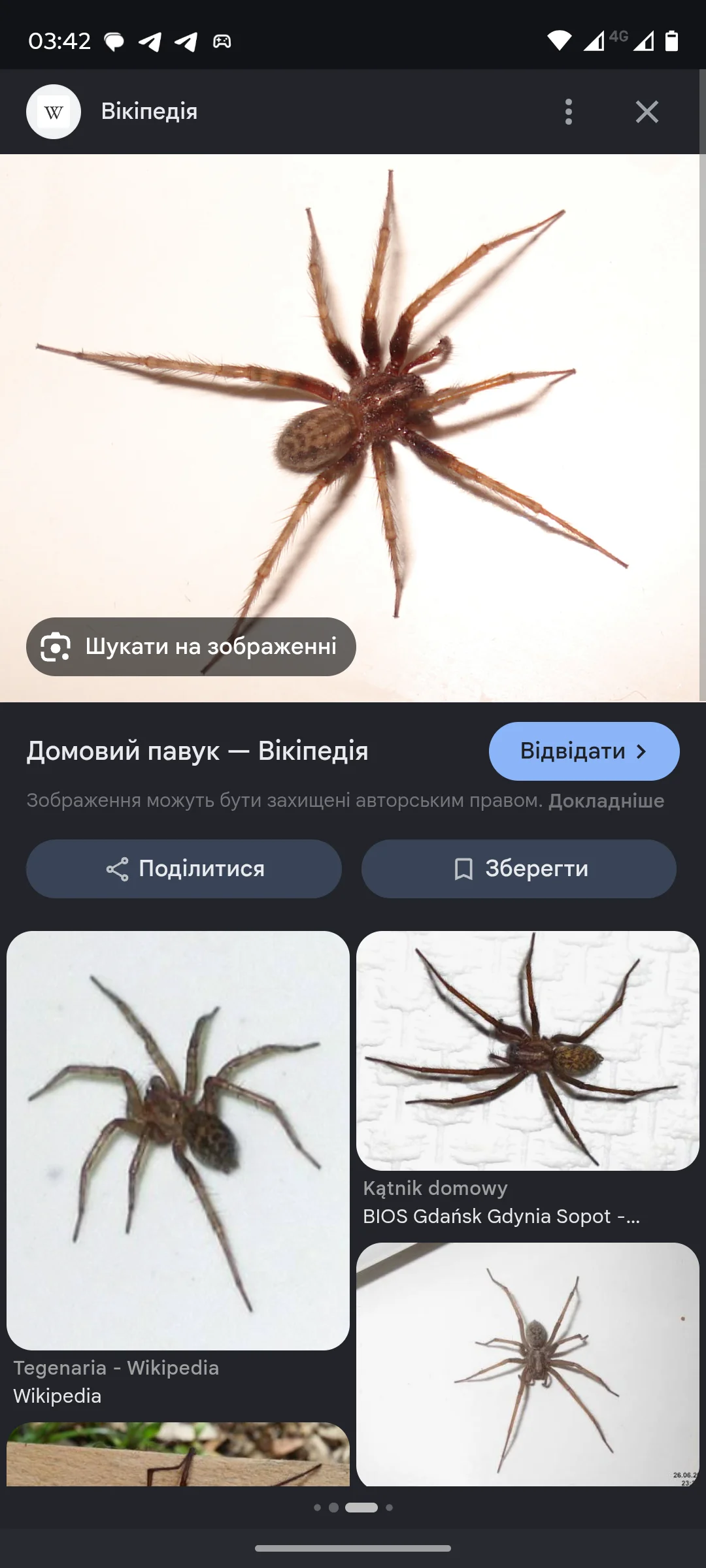 Абонемент 3